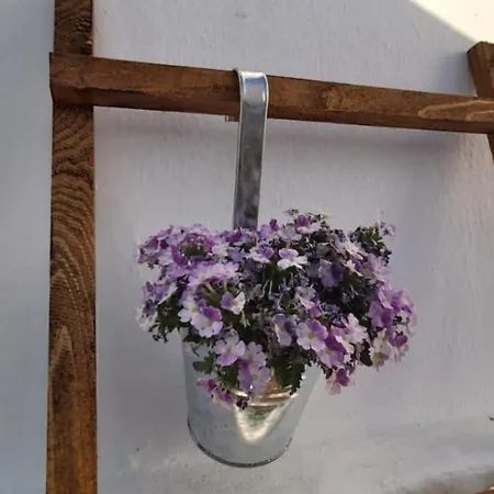 Ofelia Terrace House