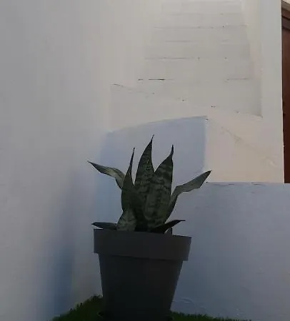 Ofelia Terrace House פורטימאו