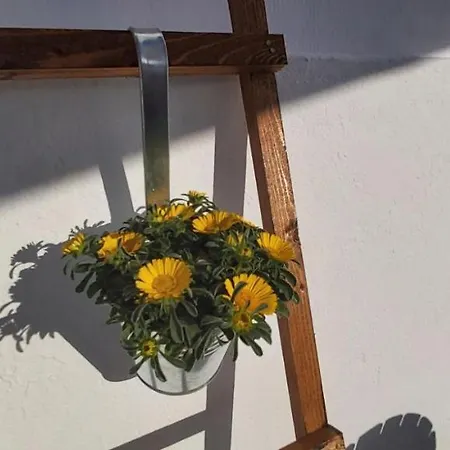 דירה Ofelia Terrace House