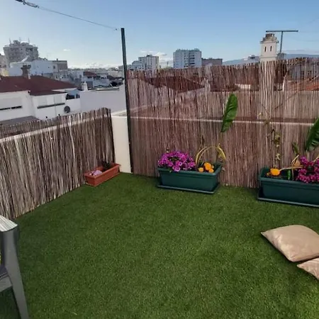 דירה Ofelia Terrace House