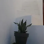 Ofelia Terrace House Portimão
